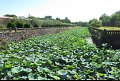 Vietnam - Cambodge - 0493